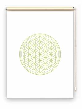 Rollo Blume des Lebens apfel blanco   - Sichtschutz Extartiqe